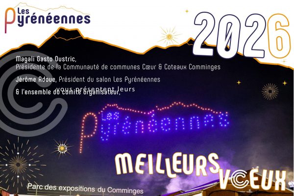 MEILLEURS VOEUX 2️⃣0️⃣2️⃣6️⃣